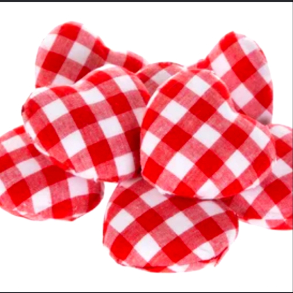 "NWT" Valentine's Day Checkered Buffalo Heart's,